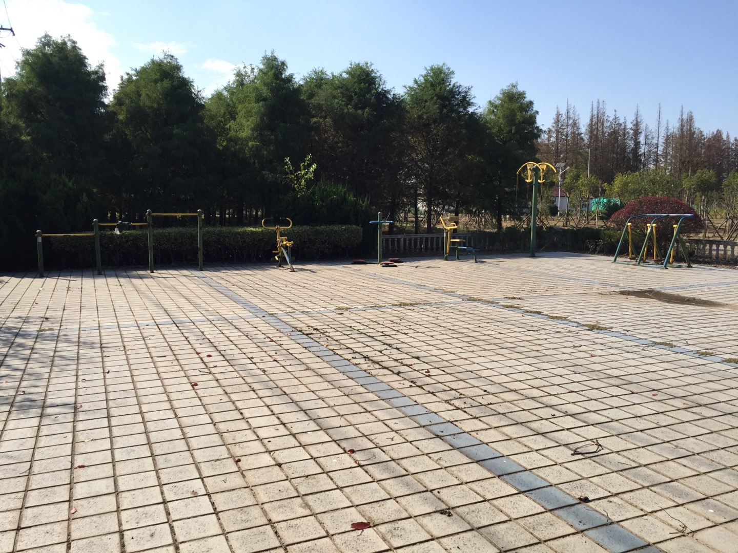 惠豐村六組健身點