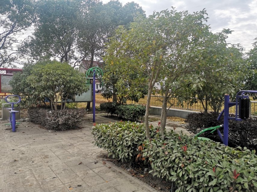 新安村4組健身點