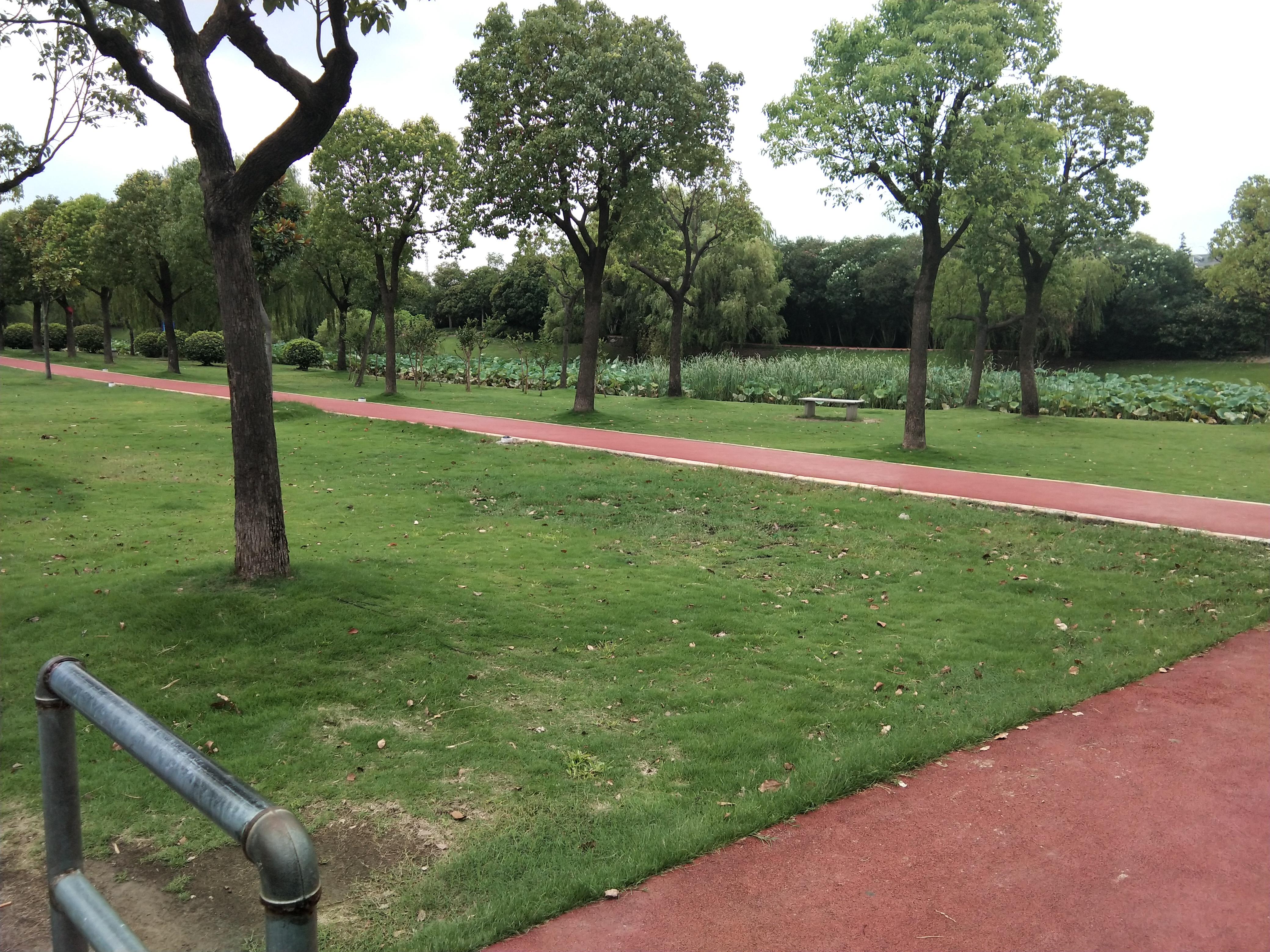 沁春園三村綠化帶市民健身步道