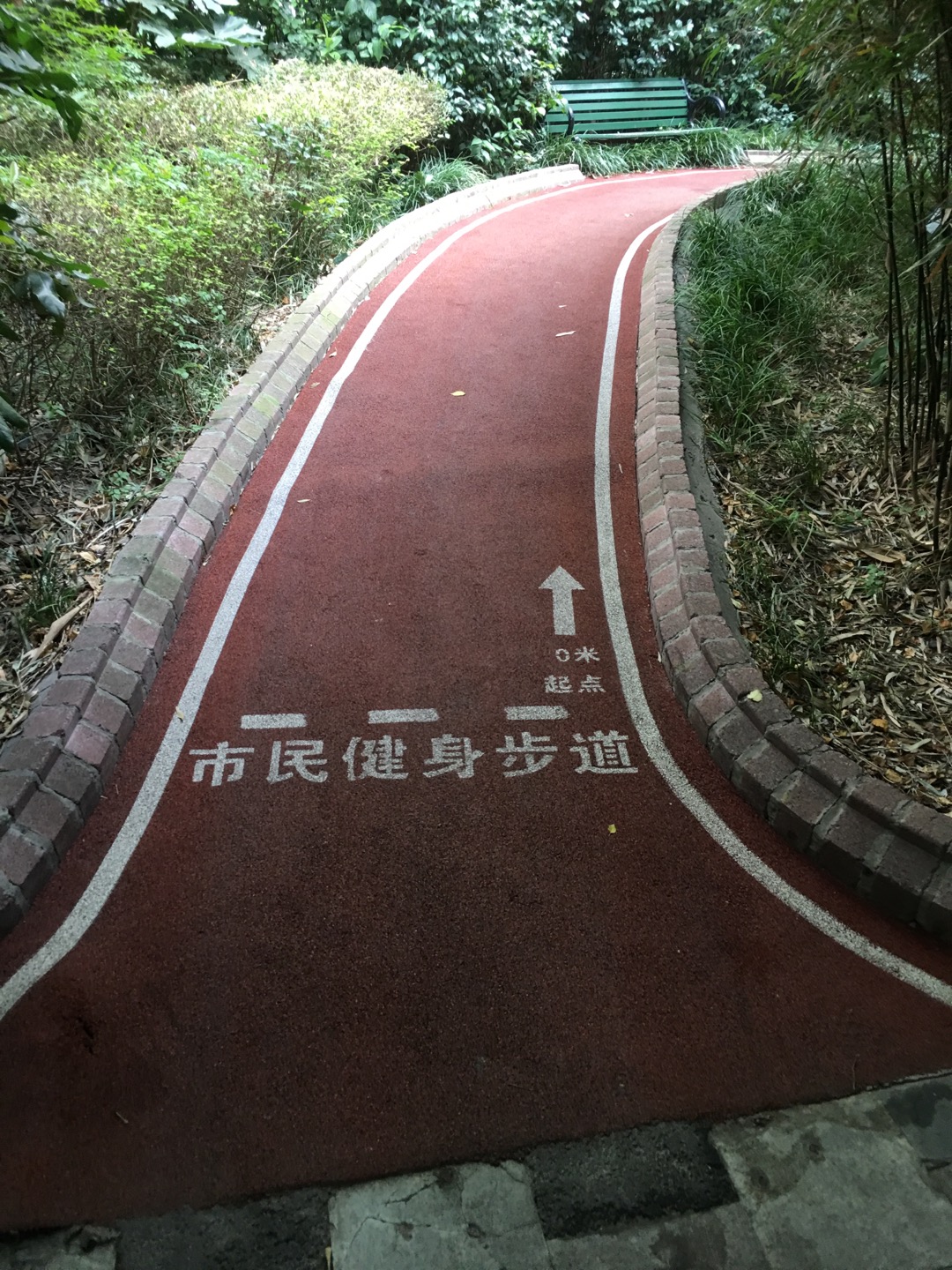 中關(guān)村市民健身步道2