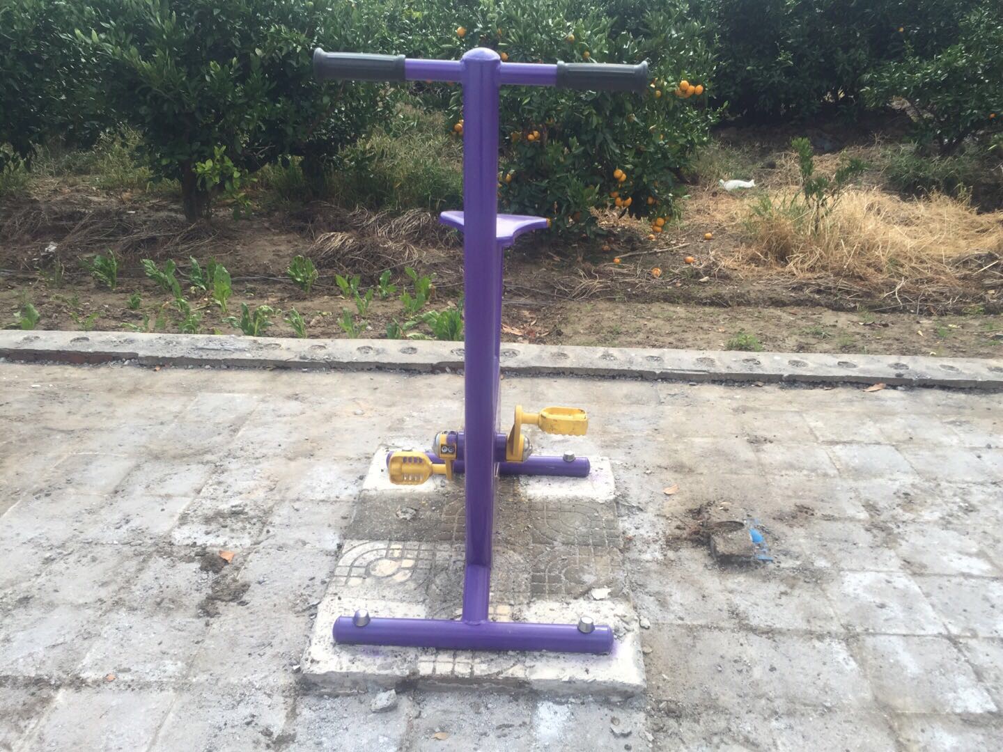 雙位健身車 雙位健身車