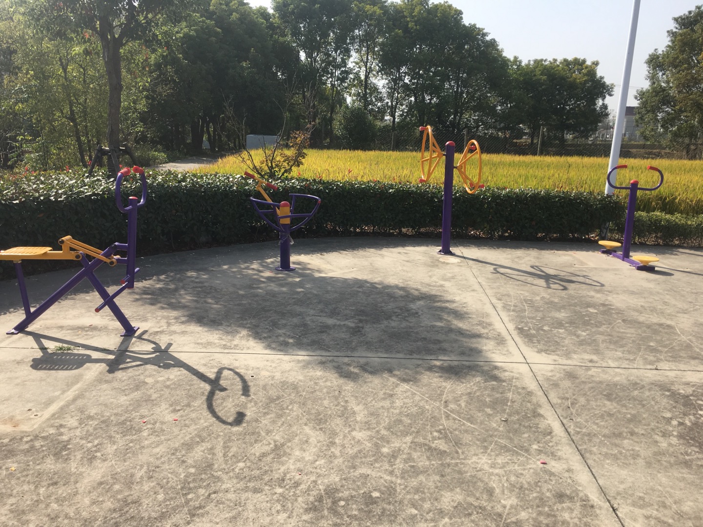 老港鎮(zhèn)成日村民委員會成日23組健身苑點