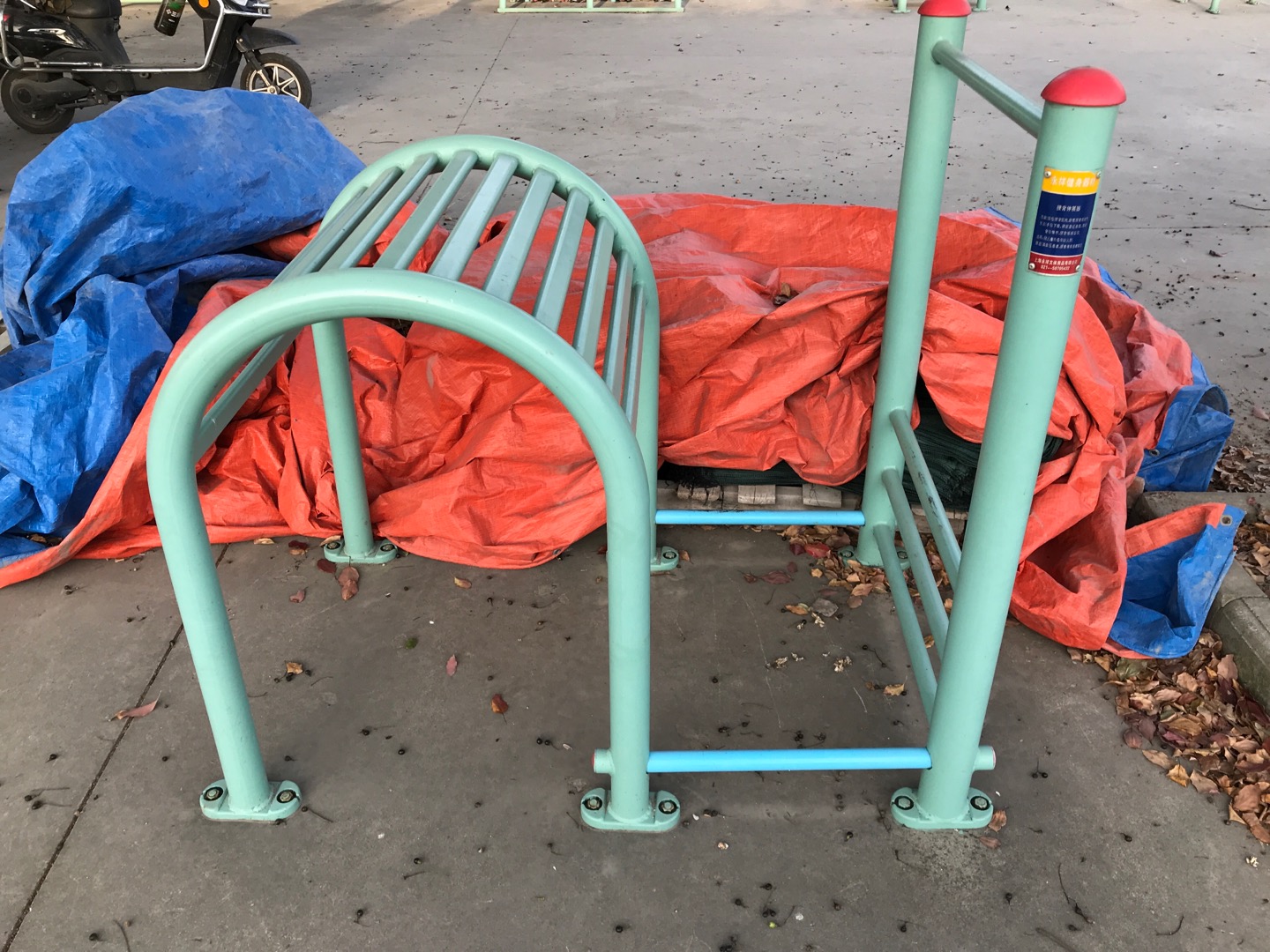 腰背伸展訓練器