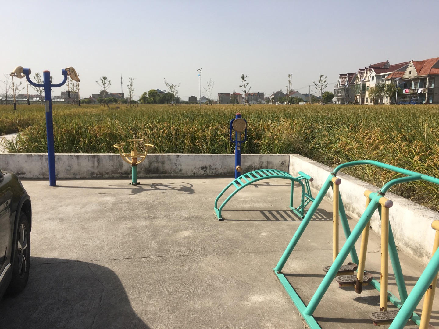 老港鎮(zhèn)大河村民委員會港南1組健身苑點