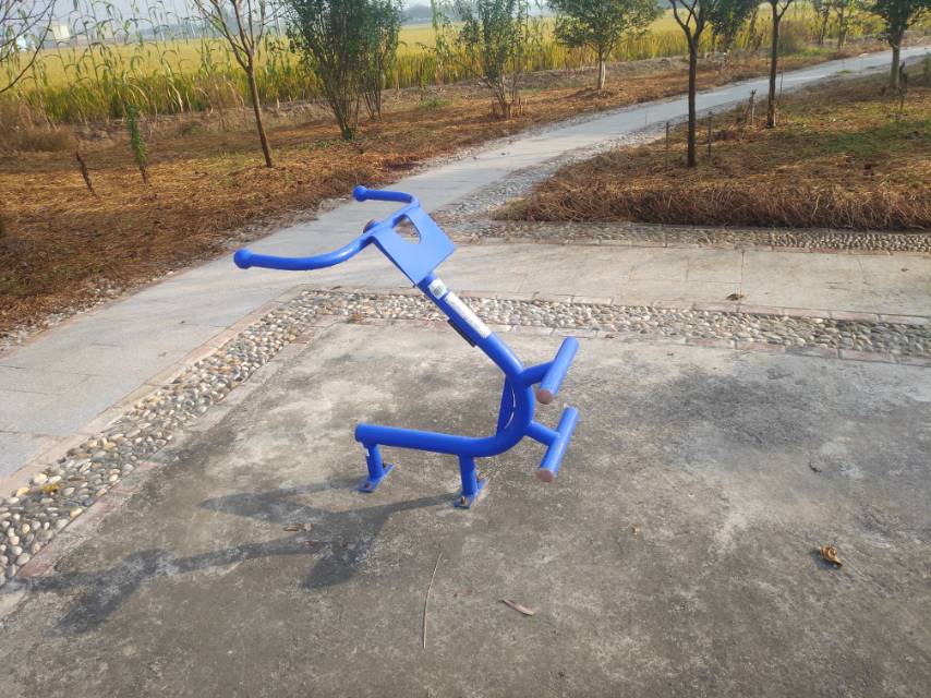 背肌訓(xùn)練器