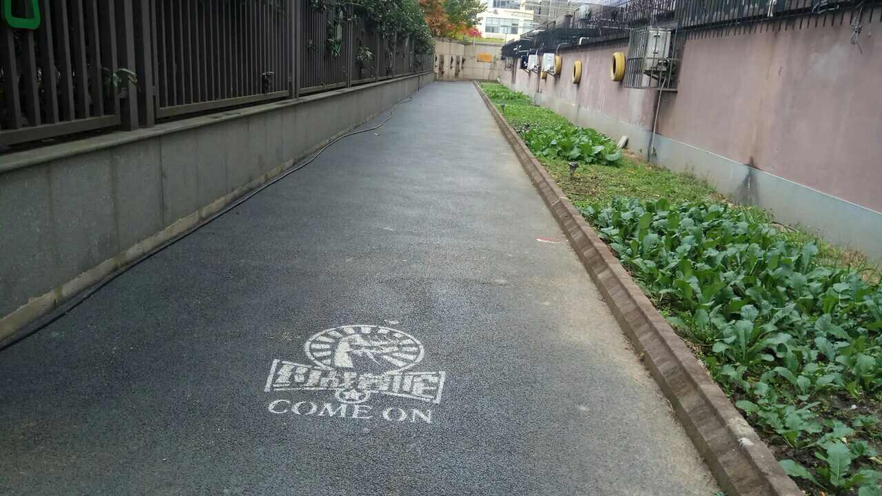 曹楊花苑市民健身步道2