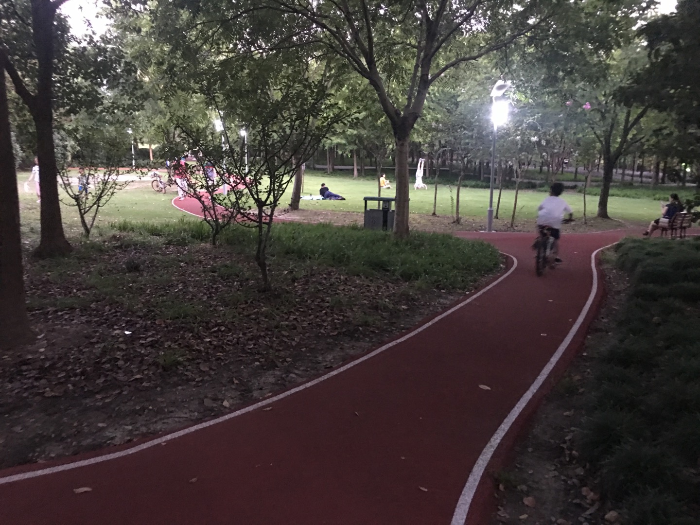 濱江公園健身步道