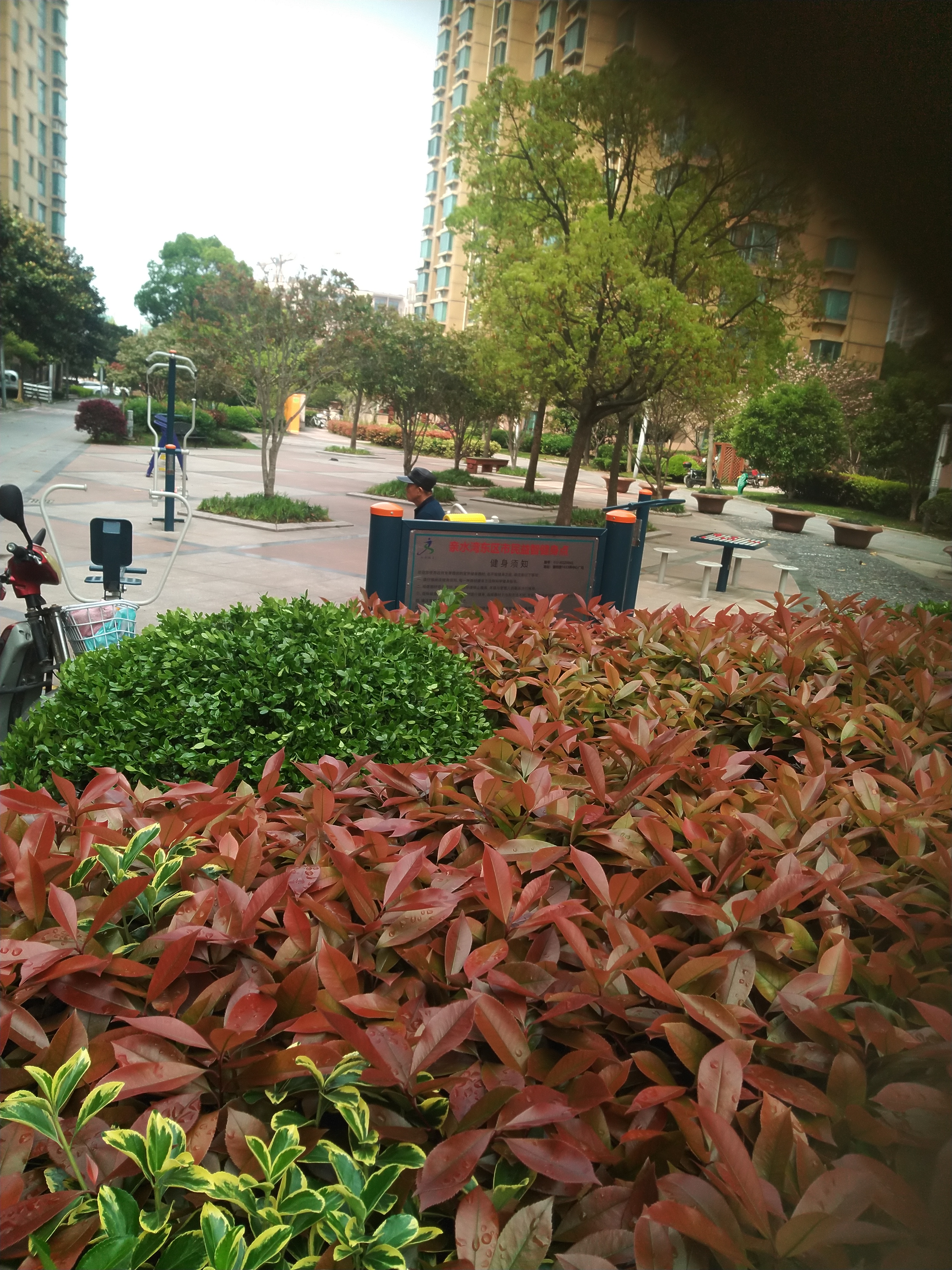 清水灣東區(qū)市民益智健身點