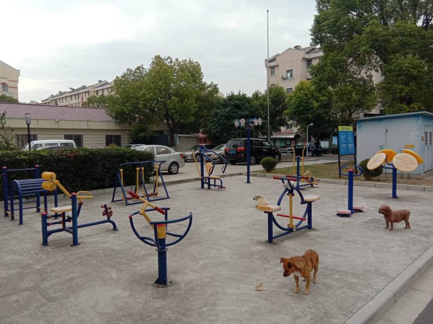 晨陽居委江明路36弄10號(hào)健身路徑