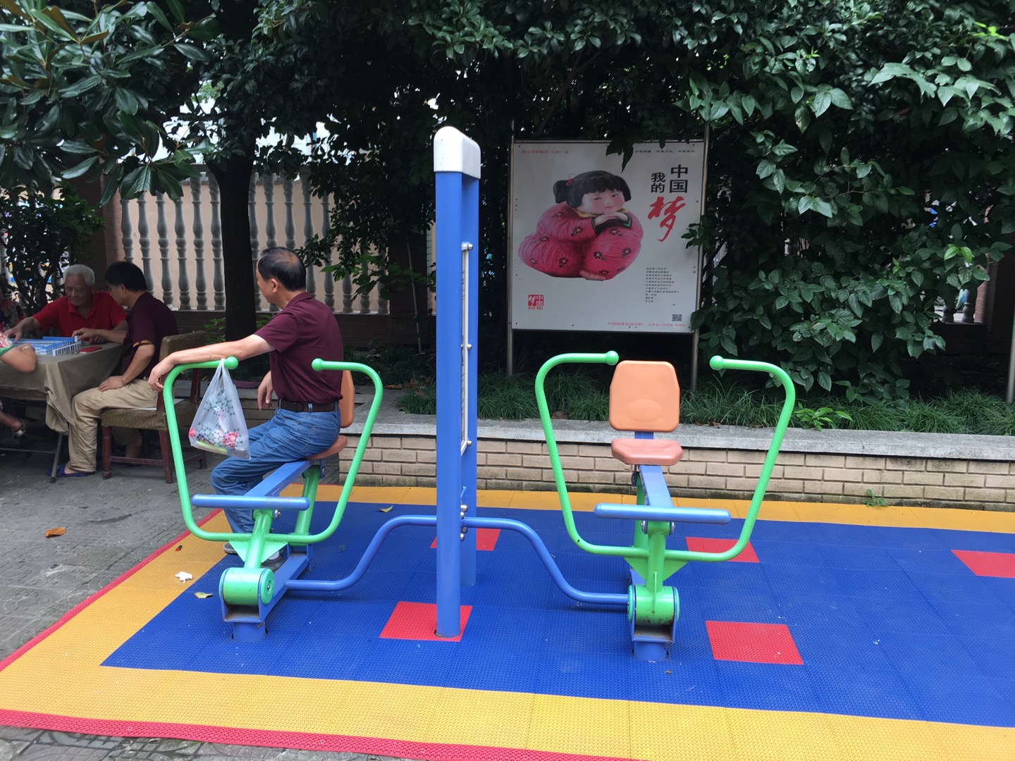 雙立柱平推平拉訓(xùn)練器