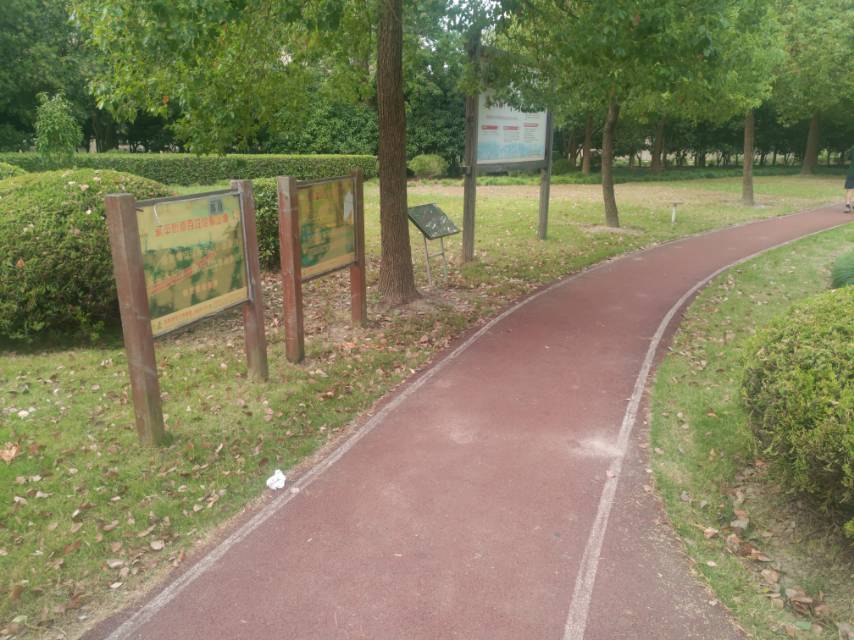 永豐街道倉匯路百姓健身步道