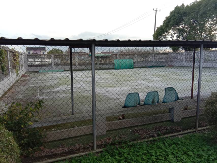 營(yíng)前村東門球場(chǎng)（1隊(duì)陳家宅4號(hào)后面）