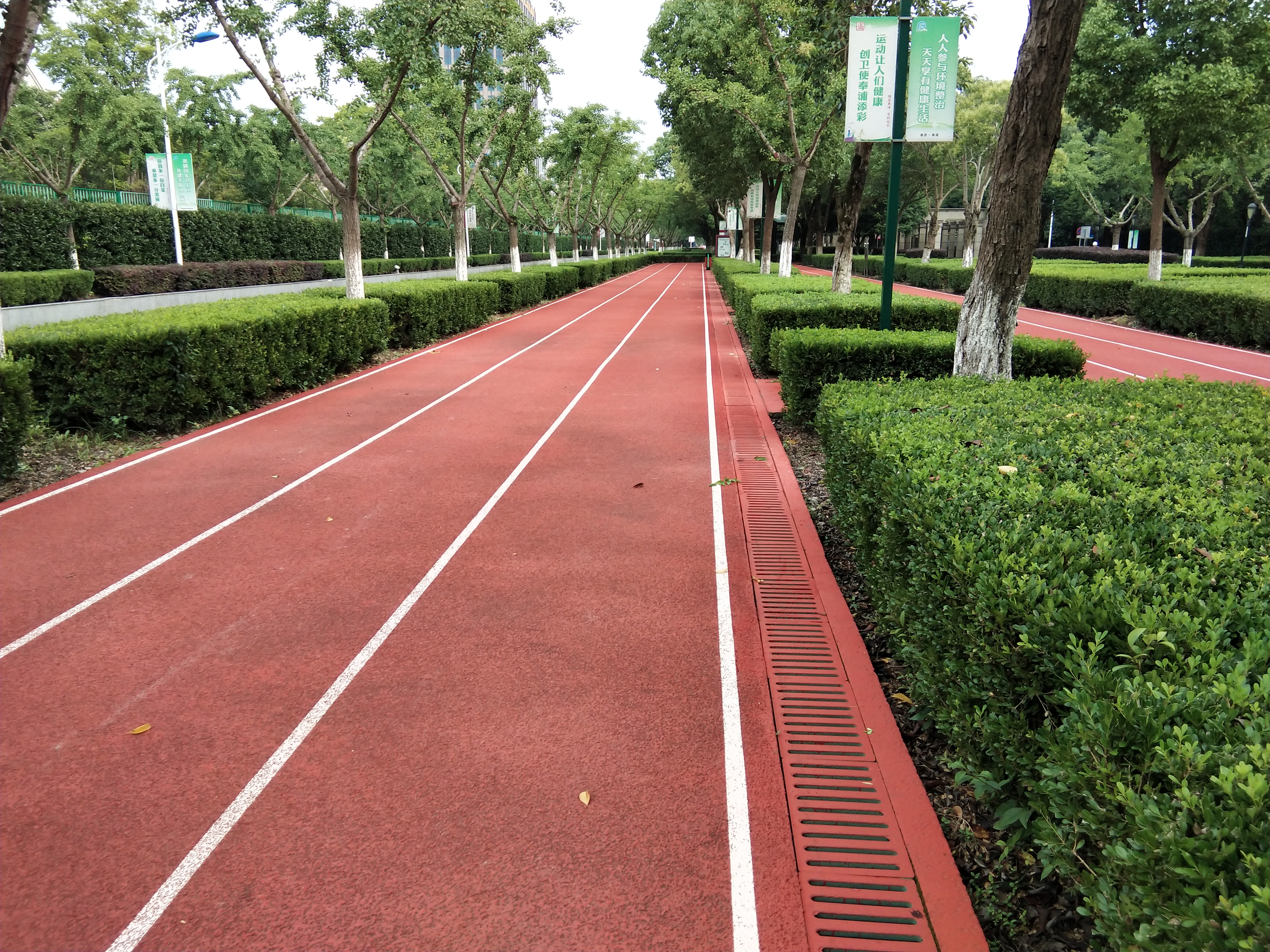 韓誼路市民健身步道（南）