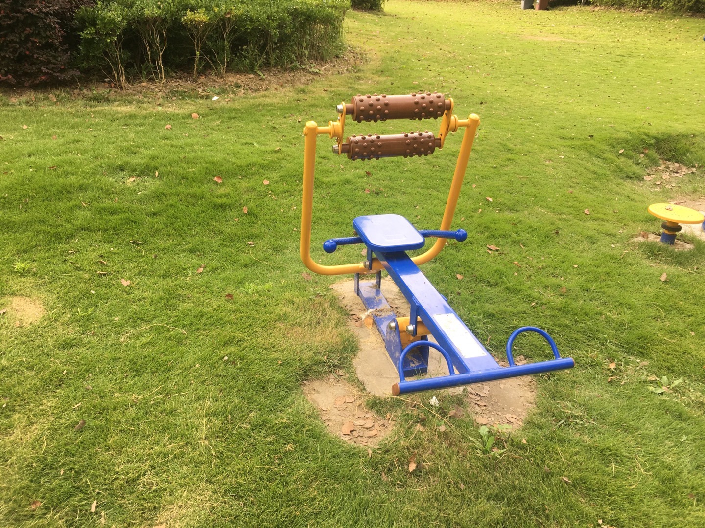 腹背屈伸/劃船訓練器