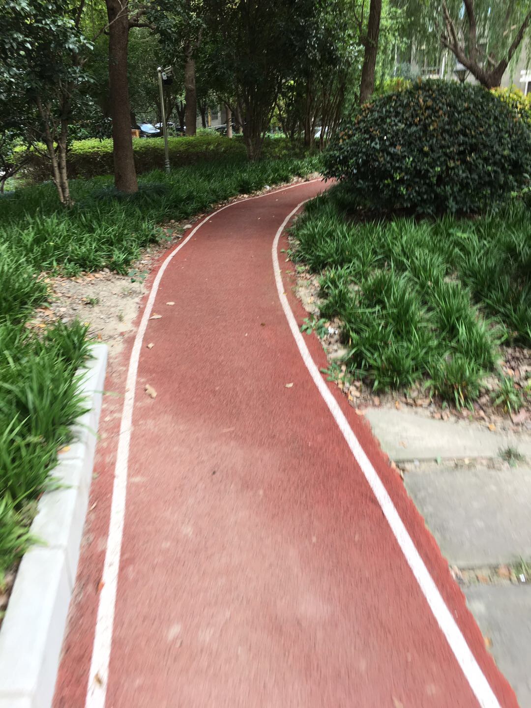 星河世紀(jì)城櫻樹(shù)芳庭市民健身步道