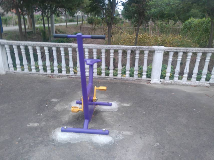 雙位健身車(chē)