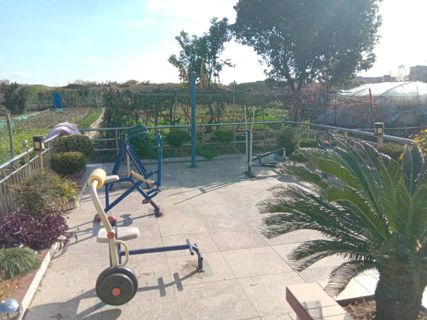 金星村1組1504號南健身路徑