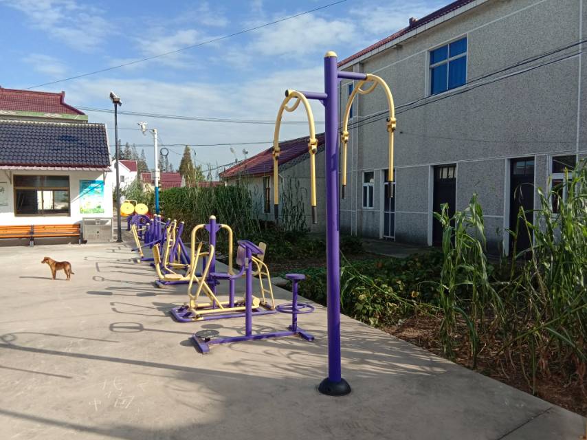 堡鎮(zhèn)小漾村4隊健身點