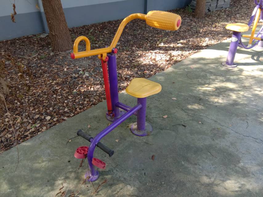 腹背訓(xùn)練器