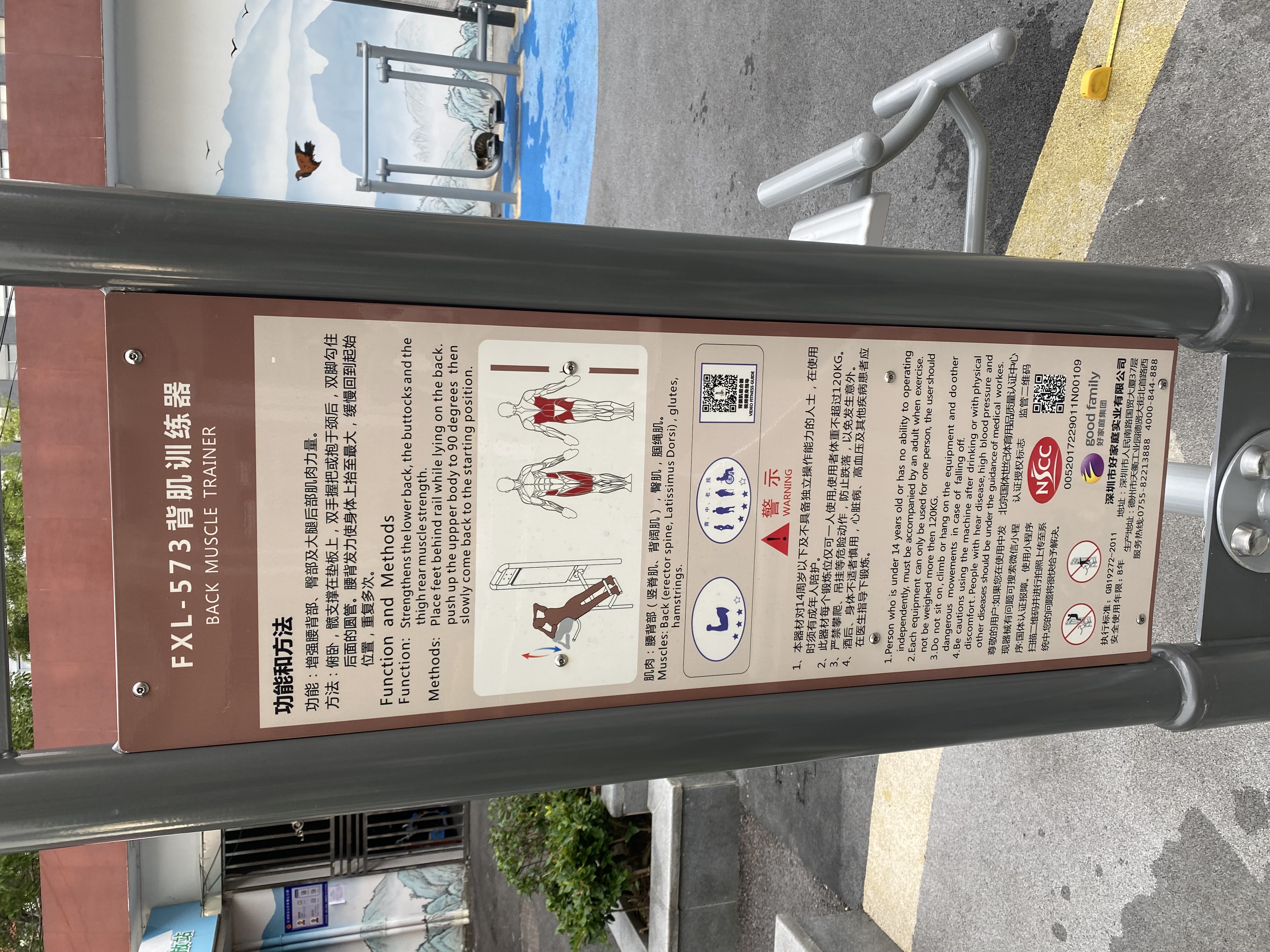 腹背鍛煉器 腹背鍛煉器