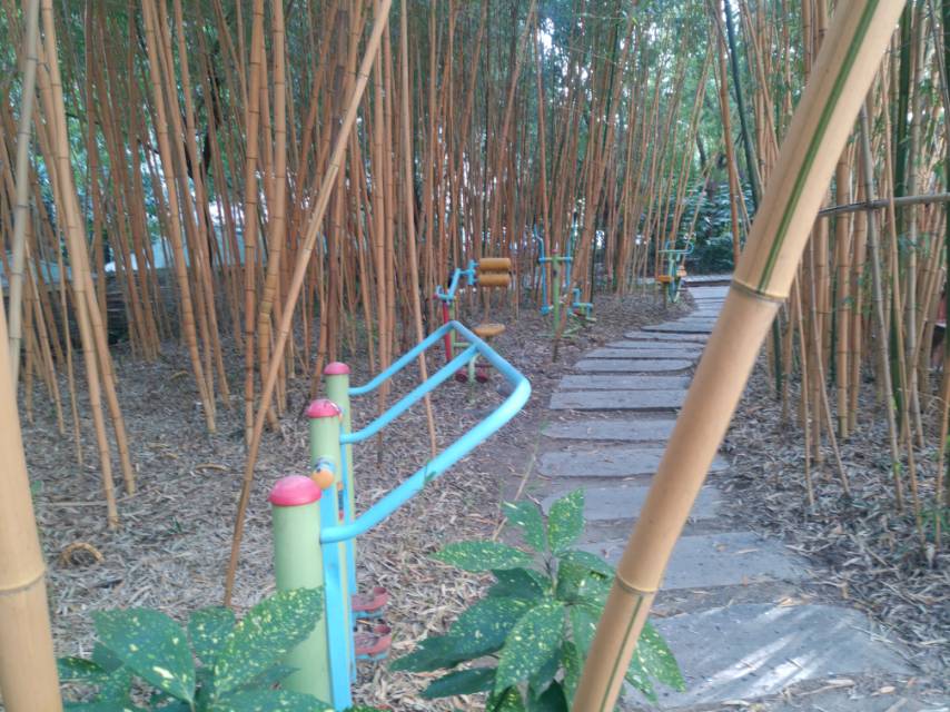 川新52支弄10號(hào)小花園