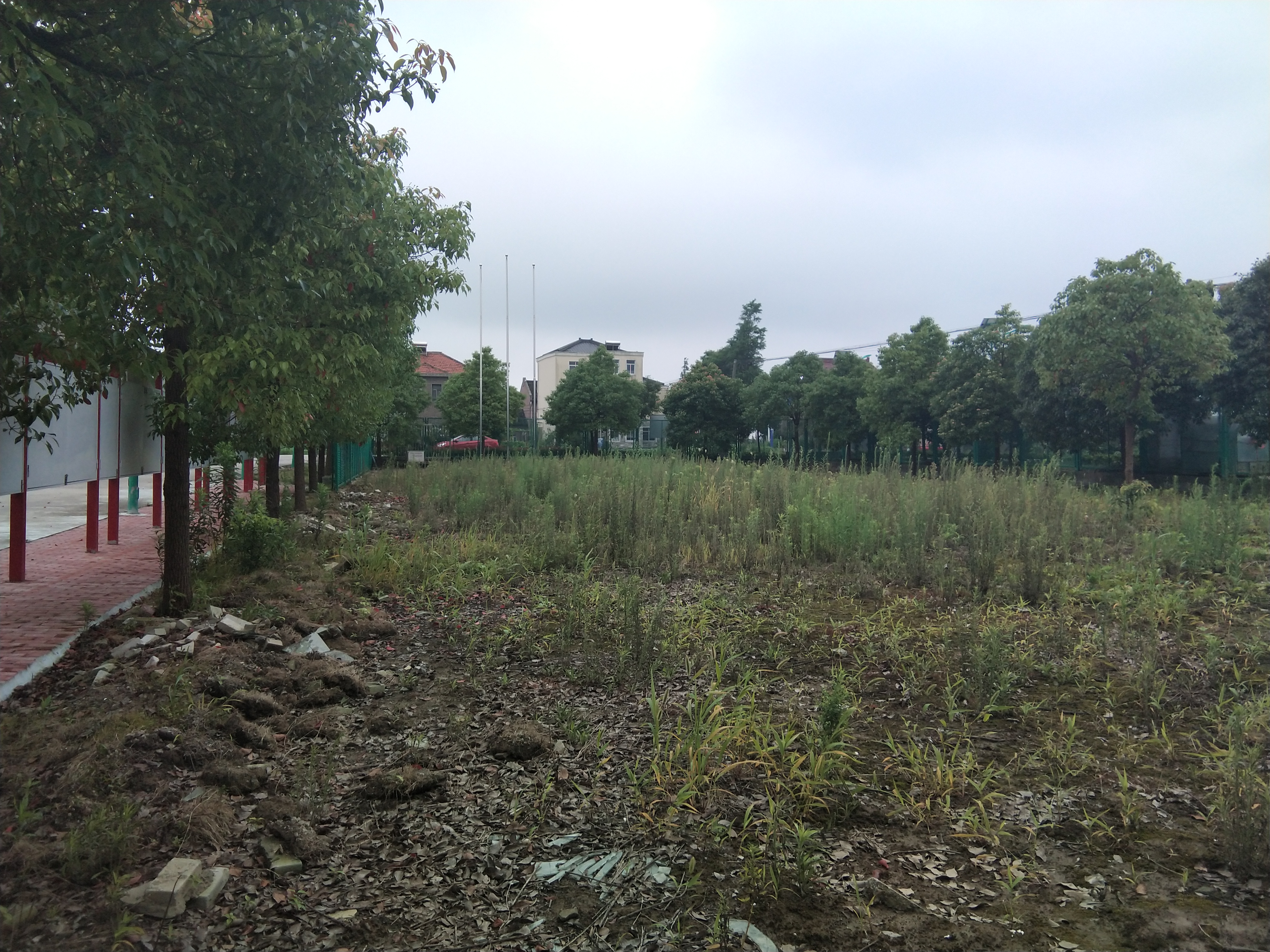 奉城鎮(zhèn)分水墩村百姓健身步道