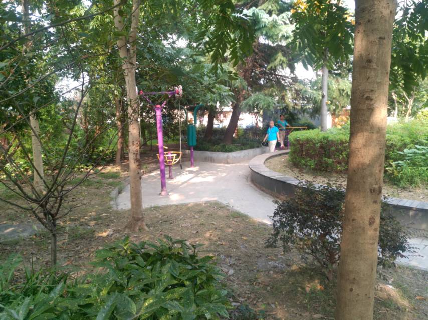 泗塘四村三居委健身點