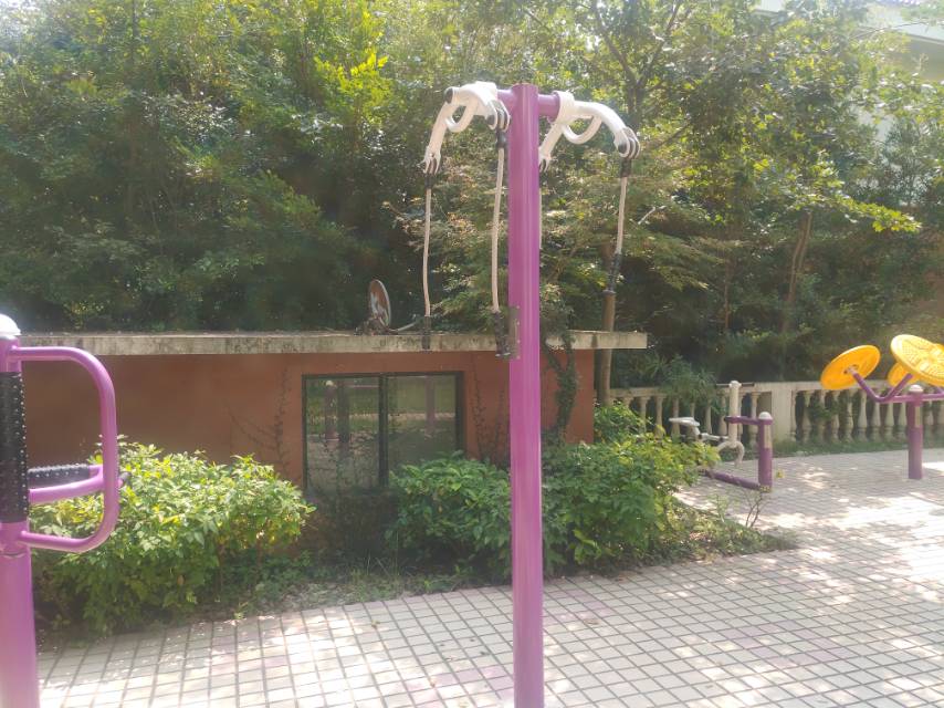 上肢牽引器（兩站位）