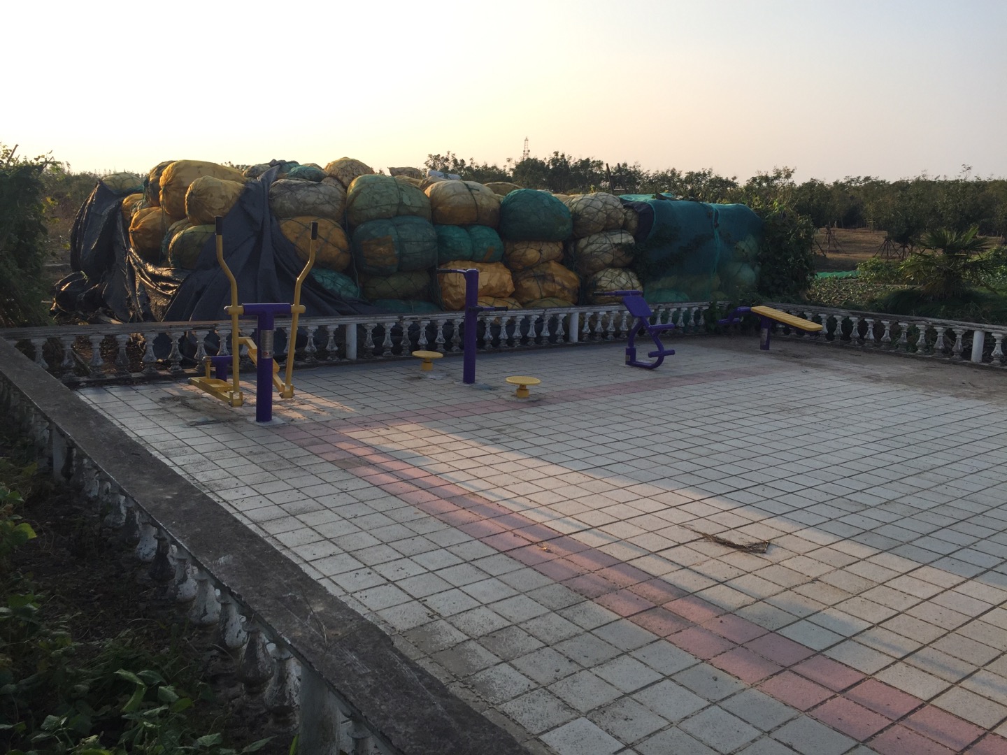 興隆村六組健身點(diǎn)