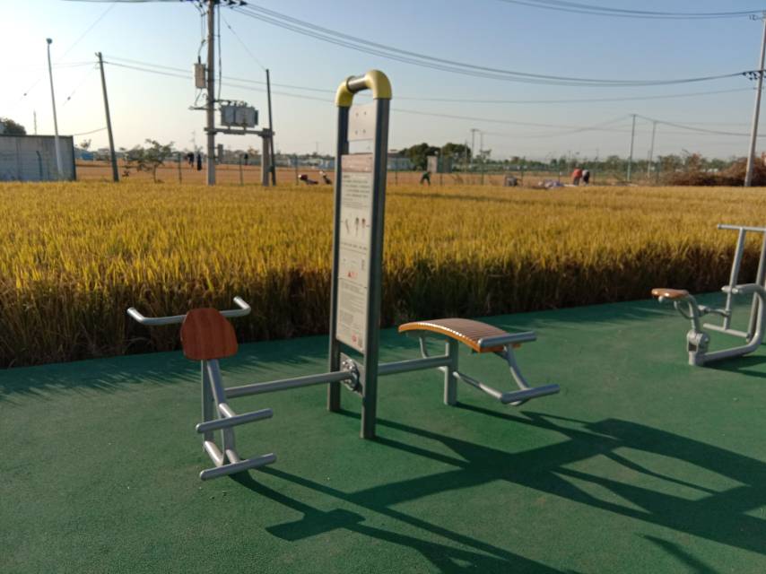 腹肌訓(xùn)練器