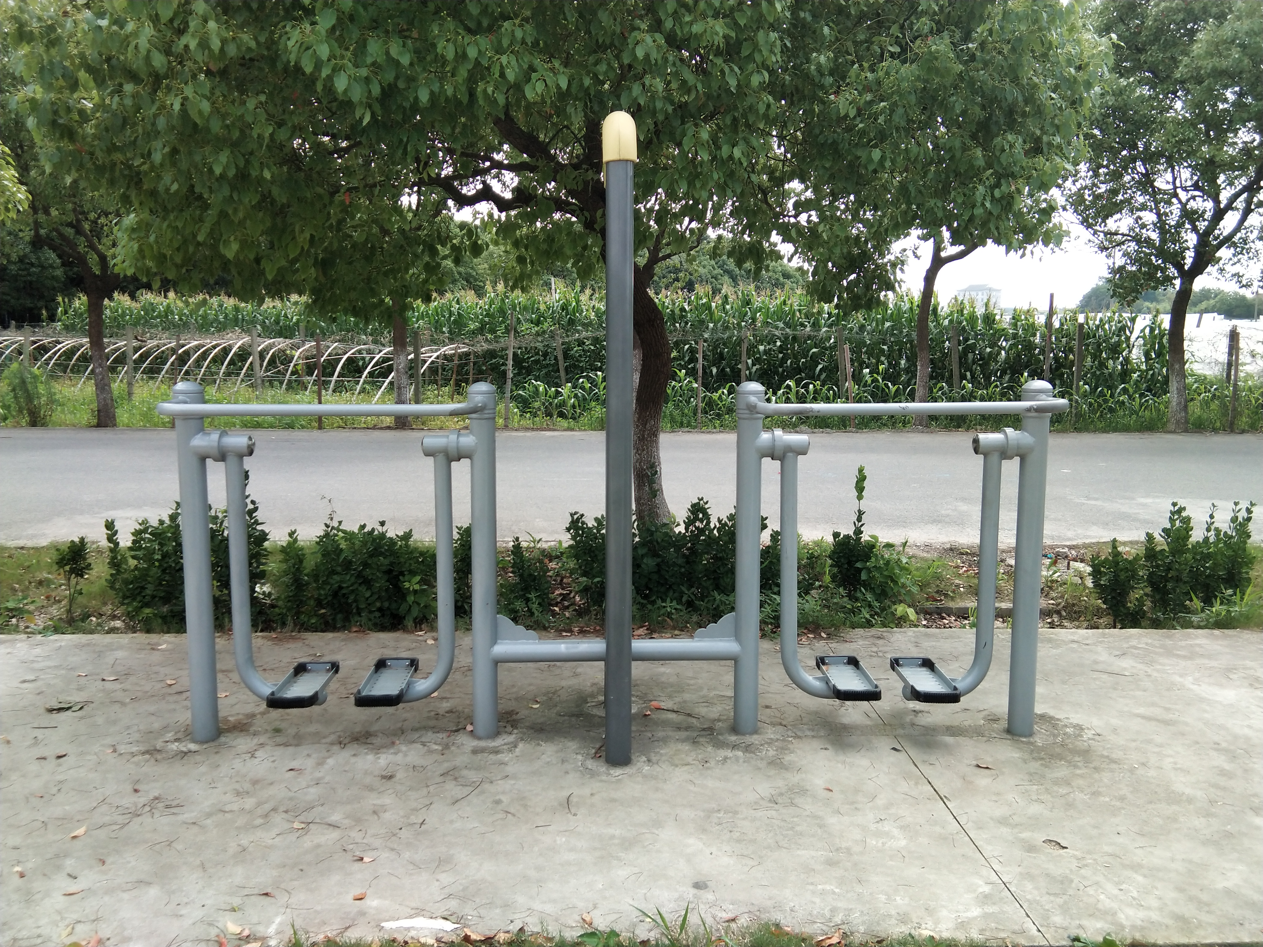 雙位太空漫步機 雙位太空漫步機