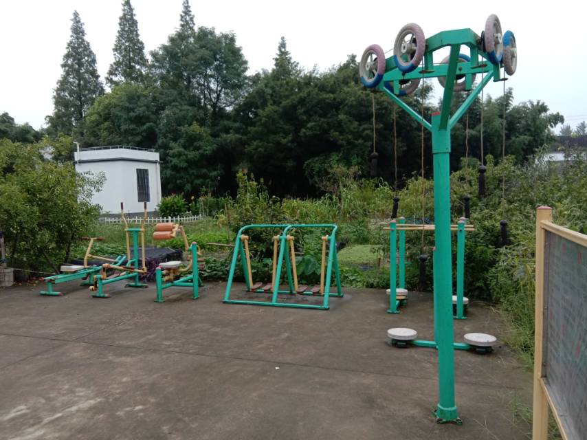 大新村（楊家迪）健身點