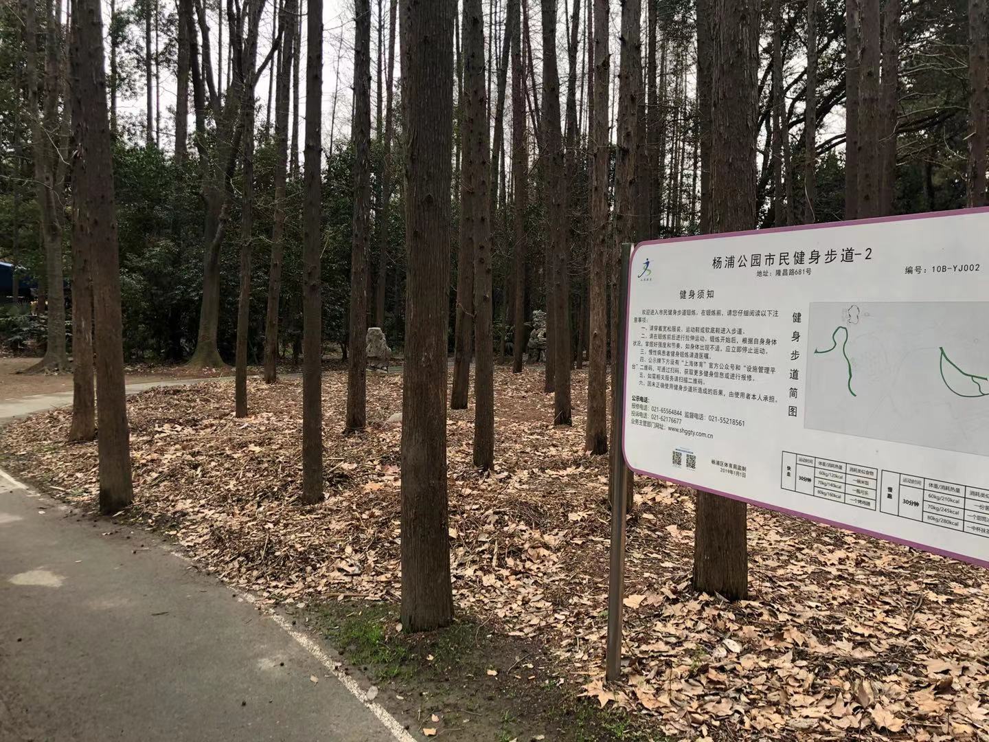 楊浦公園市民健身步道-2（缺信息）