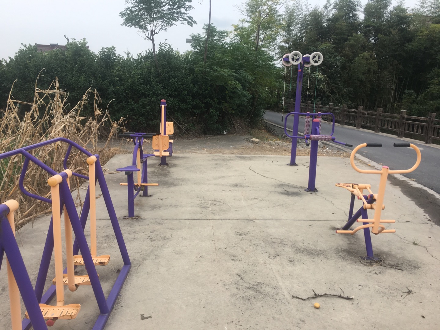 老港鎮(zhèn)欣河村民委員會(huì)煙墩8組3號(hào)健身苑點(diǎn)