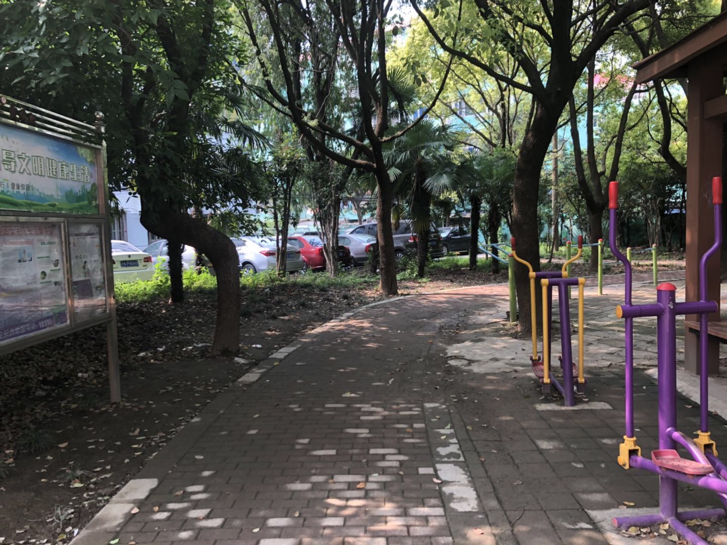 逸仙二村五居委健身苑點一