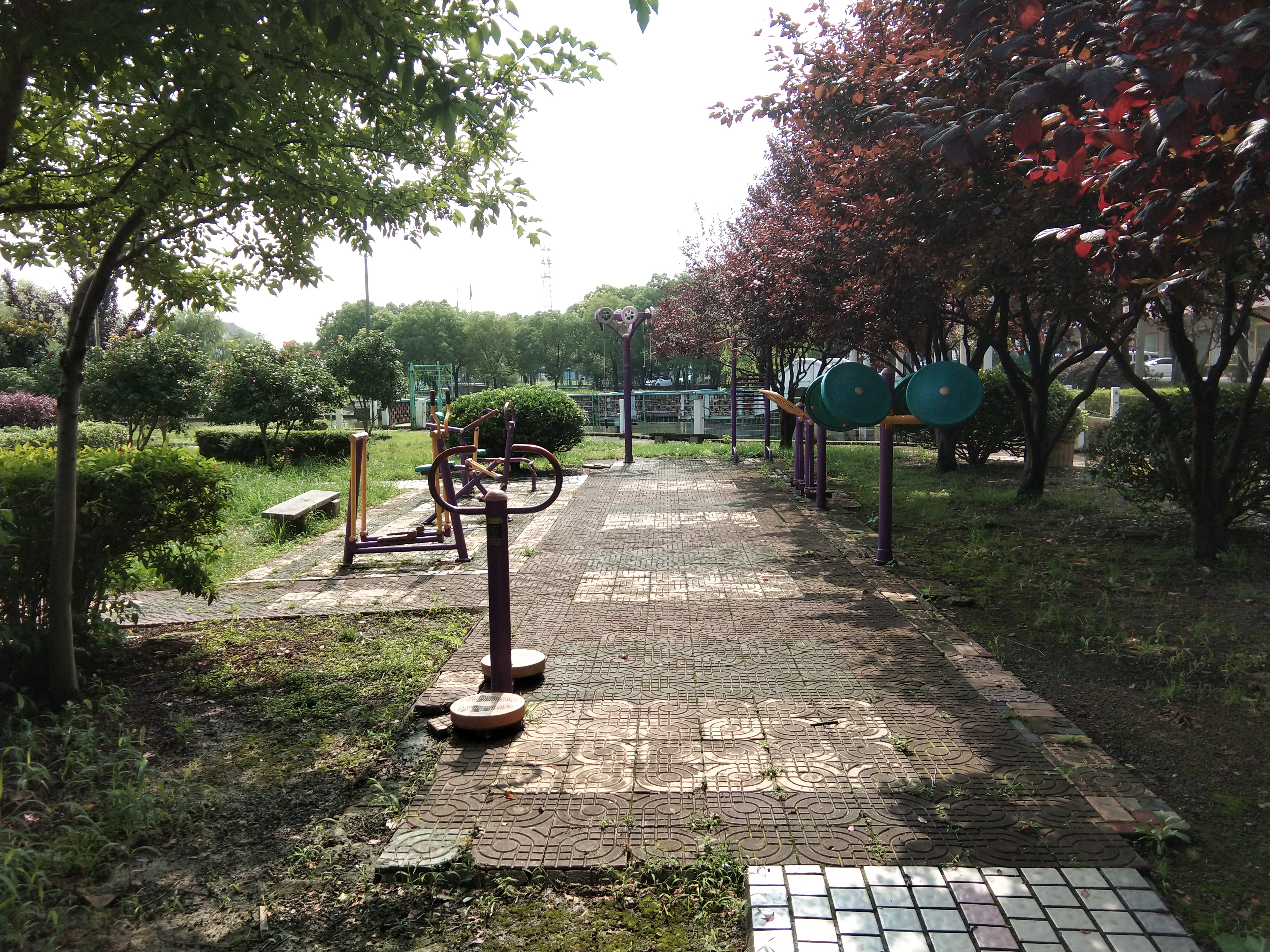 奉城鎮(zhèn)東新市村市民益智健身苑點(diǎn)