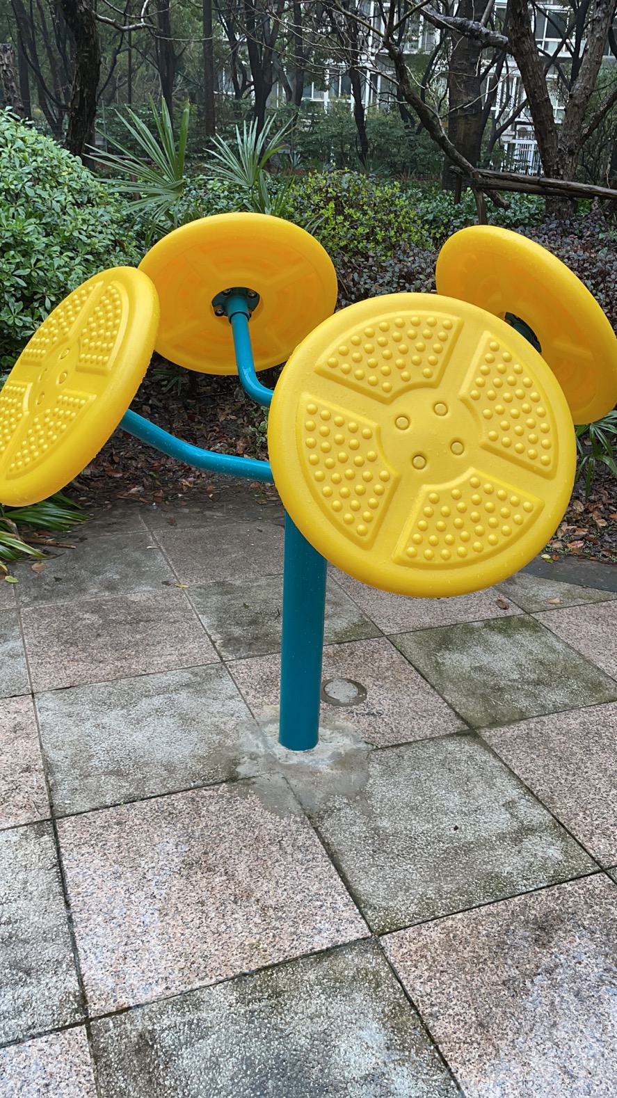 輪盤(pán)訓(xùn)練器