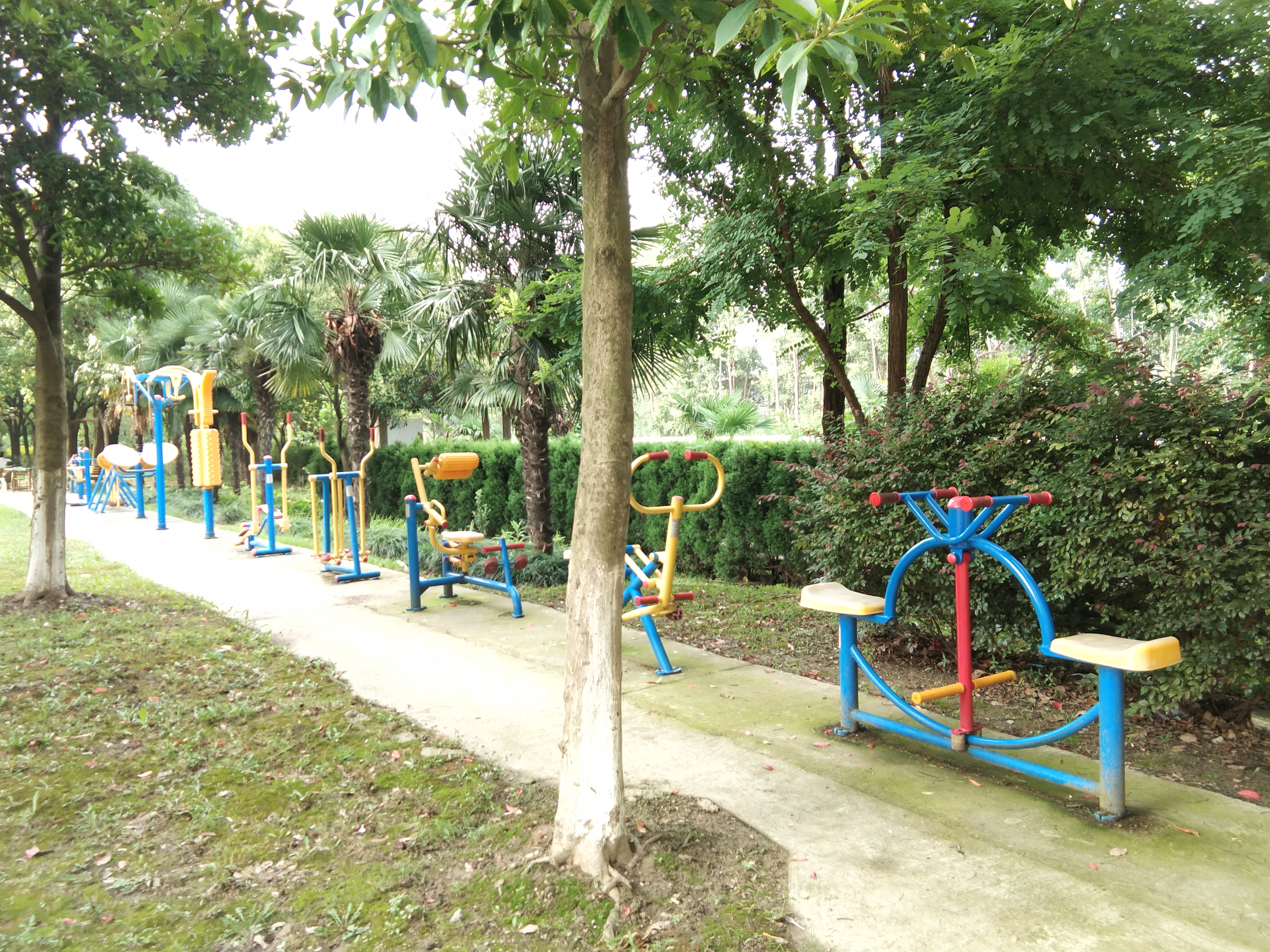 百合苑市民益智健身苑點(diǎn)（二）