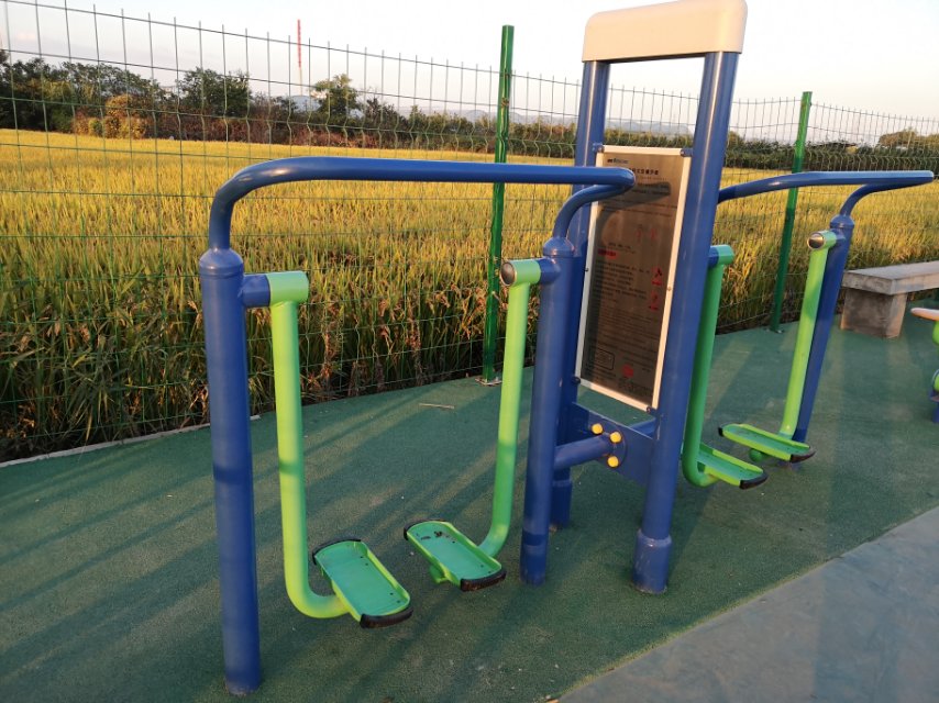 雙立柱太空漫步器