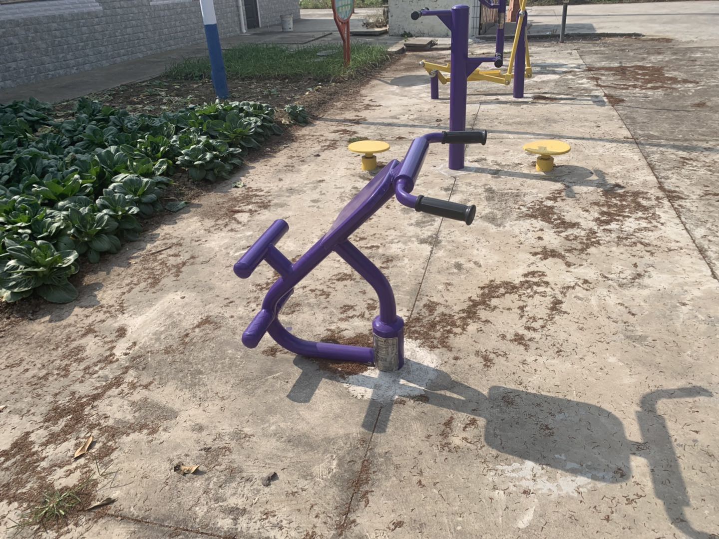 背肌訓(xùn)練器