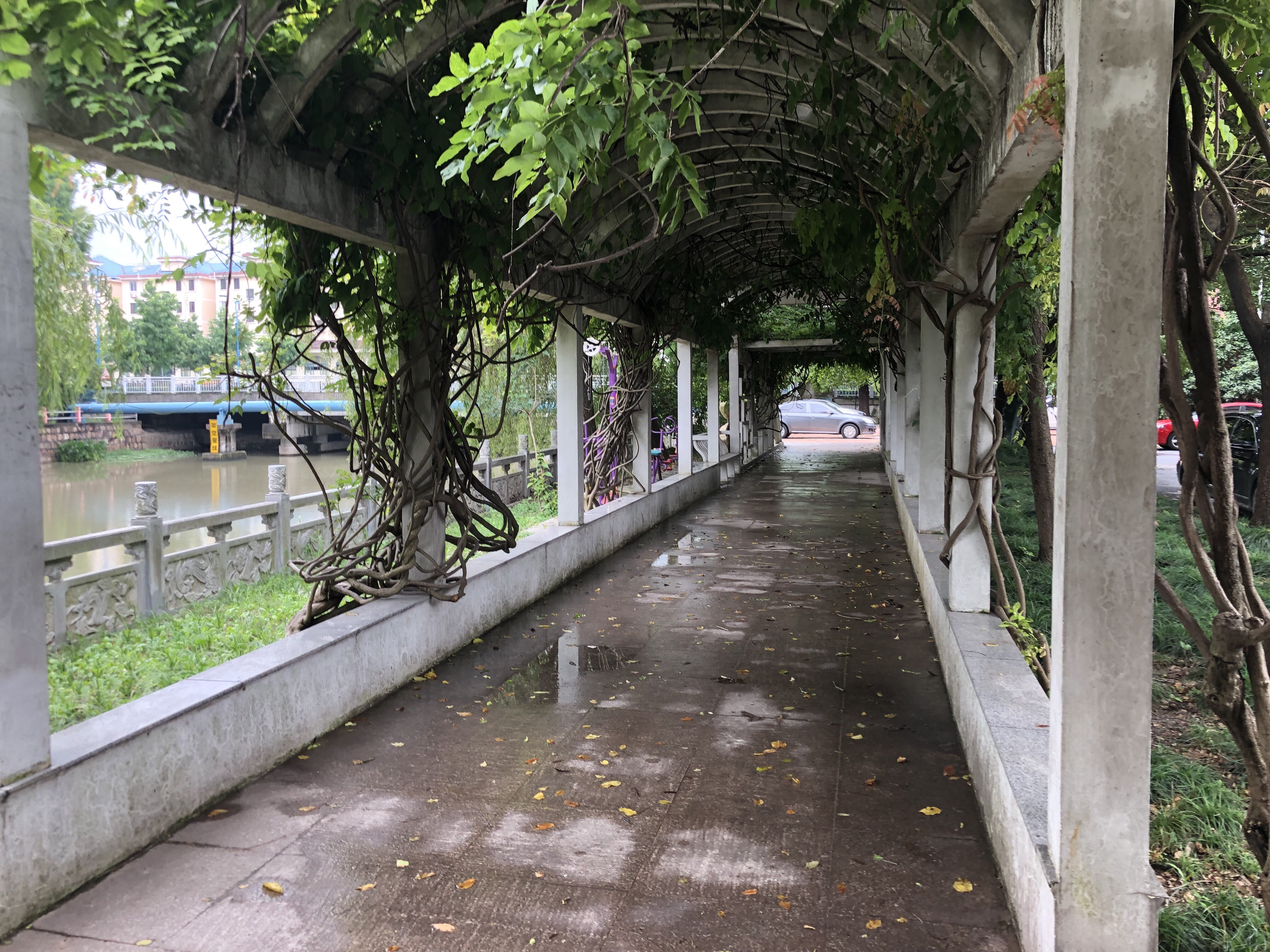 貝港一居健身點(diǎn)3