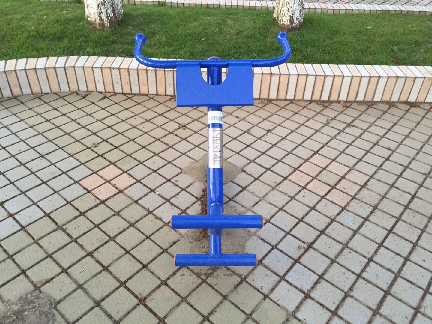 背肌訓(xùn)練器