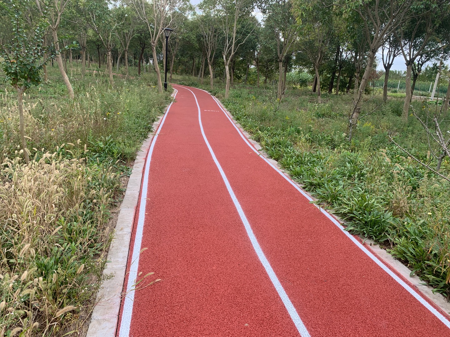 惠民村市民健身步道