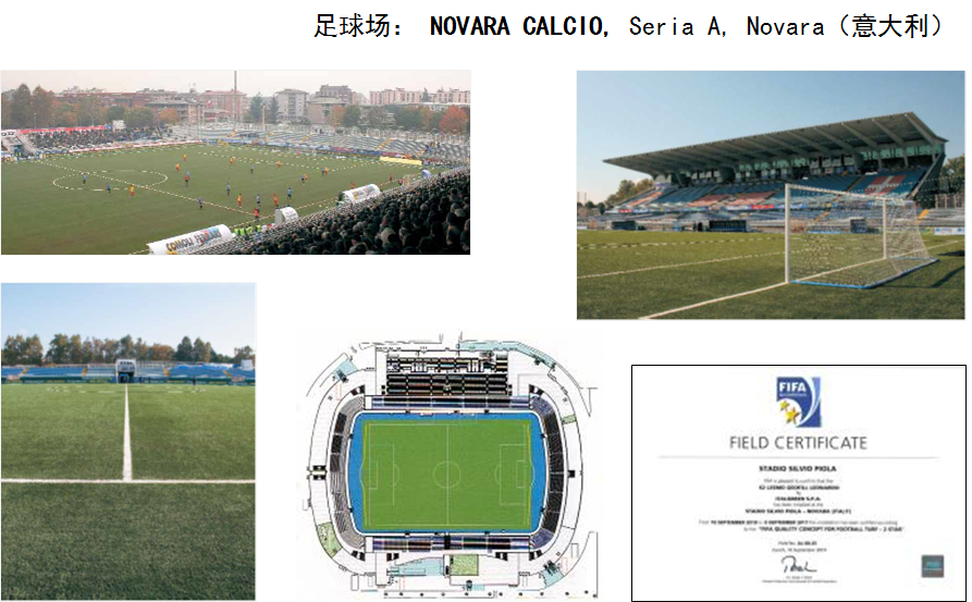 意甲Novara俱樂部的訓練場，F(xiàn)IFA2星