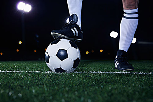 山東濟(jì)南農(nóng)業(yè)大學(xué)