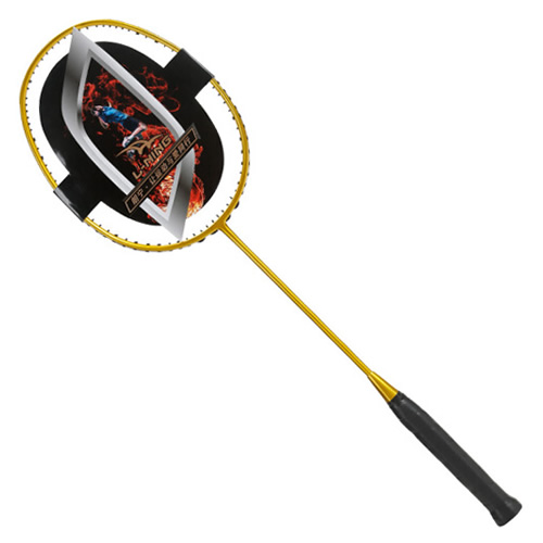 朗寧省隊(duì)羽毛球訓(xùn)練拍圖1