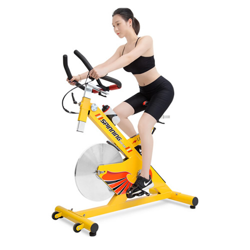 雷克P40800家用動(dòng)感單車(chē)圖2