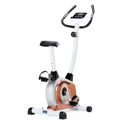 仕健WGBC5150家用動感單車圖1