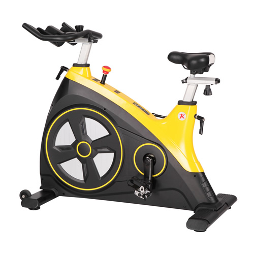 康樂(lè)佳K8929家用動(dòng)感單車