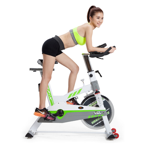 仕健SP92008家用動(dòng)感單車圖2